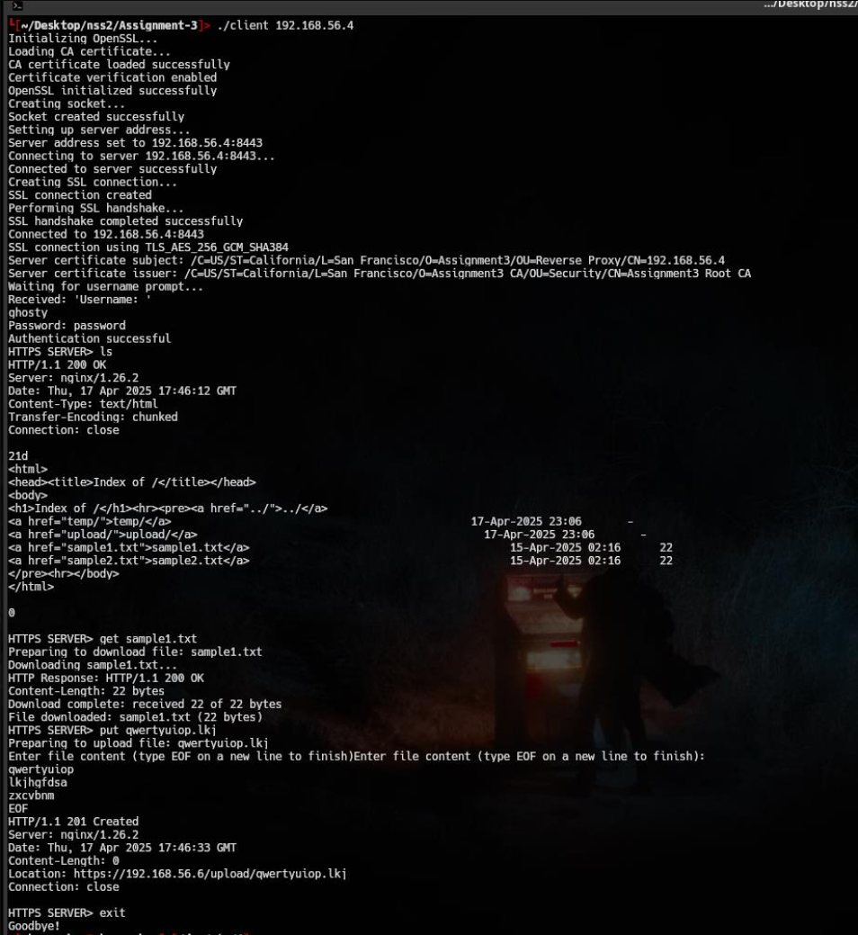 Secure Reverse Proxy Project Thumbnail